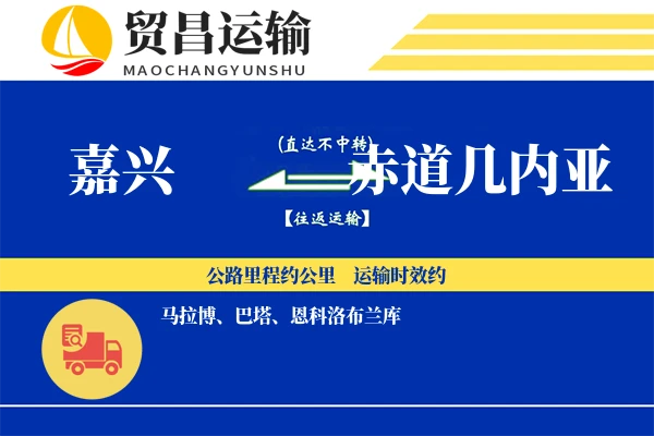 嘉兴到赤道几内亚物流专线 | 空运海运双清包税 | 门到门国际物流服务